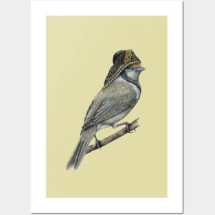 Eurasian blackcap Posters and Art